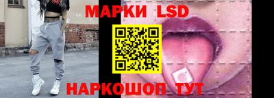 хмурый Сланцы