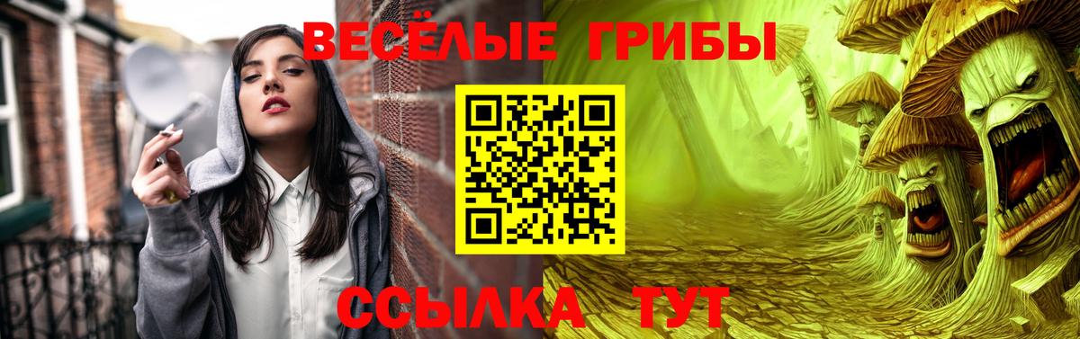 Павлово  Галлюциногенные грибы Magic Shrooms  Вход с VPN  Галлюциногенные грибы GOLDEN TEACHER 